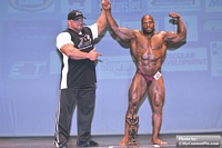 Novice Overall